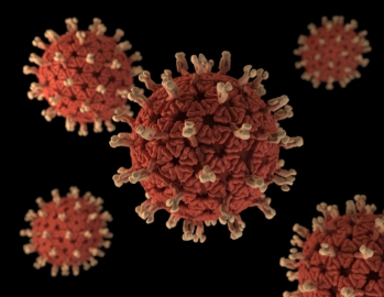 CoronaVirus_beatit_immunity_moringa